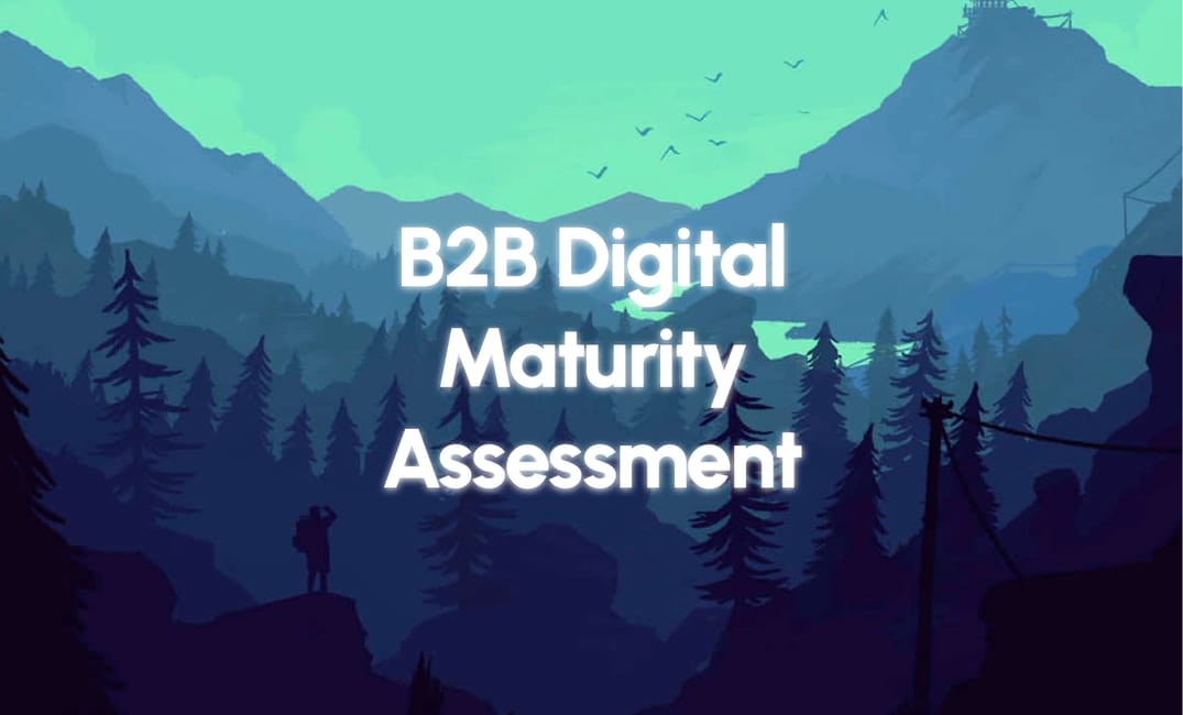 B2B eCommerce Maturity Assessment by Eugene Slyvinsky