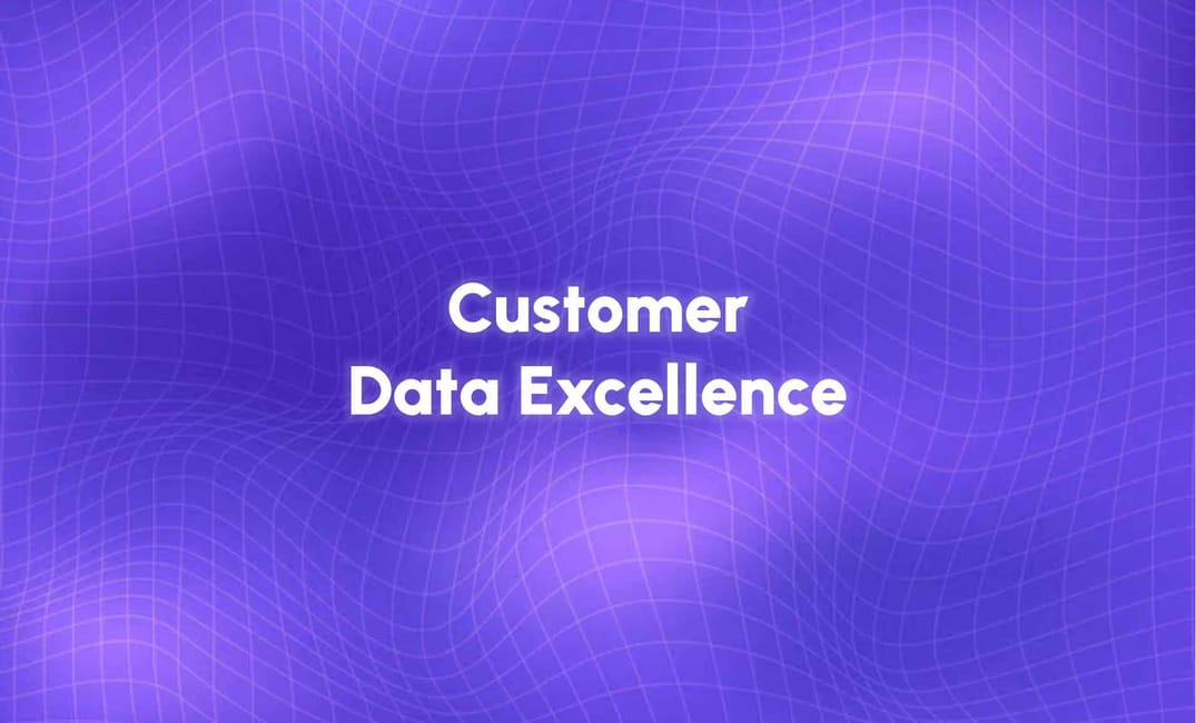 Achieving Customer Data Excellence