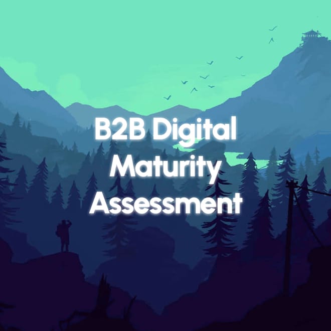 Image of: B2B Digital Maturity Assessment