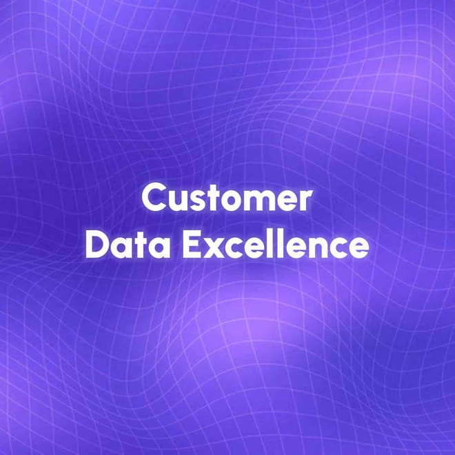 Image of: Achieving Customer Data Excellence